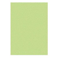 Xer. papír A4 80g GN27 Green