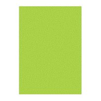 Xer. papír A4 80g LG46 Lime green