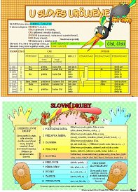 U sloves určujeme a slovní druhy ohebné, neohebné