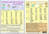 Skloňování vzoru podstatných jmen rodu ženského a středního