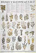 Bylinky v kuchyni A-Z (67x96 cm/1101)
