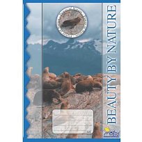 Sešit školní bílý 520 čistý