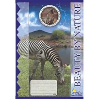 Sešit školní bílý 523 linka