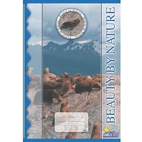 Sešit školní bílý 420 čistý