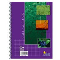 Blok Kollegia 15085 A5 čtvereček 80l