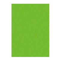 Xer. papír A4 80g MA42 Spring Green