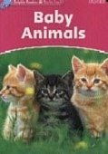Baby Animals Dolphin Readers Starter