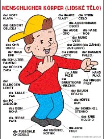 Němčina obrázková (5 DO A2)