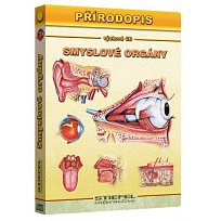 Smyslové orgány (SV+).