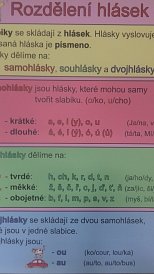 Rozdělení hlásek A1