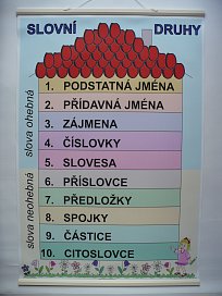 Druhy slov - přehled A1