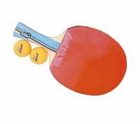 Pálka na stolní tenis DHS 5002