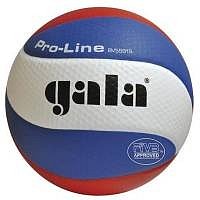Volejbalový míč Gala Pro Line BV 5591 S