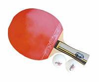 Pálka na stolní tenis DHS 4002
