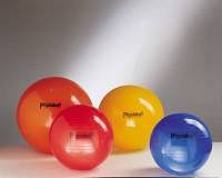 PhysioBall Standard Ledragomma 95 cm