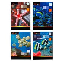 Kniha záznamní 64105 A4 čtvereček