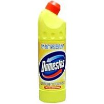 Domestos Citrus Fresh 750ml