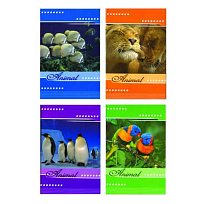 Kniha záznanmí 65105 A5 čtvereček