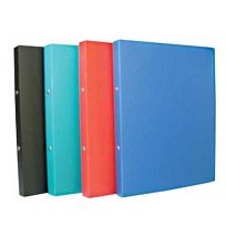 Pořadač A4 2 kr. neprůhledný