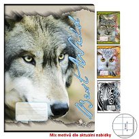 Sešit školní bílý 544 s okrajem