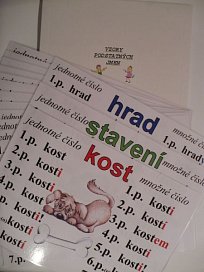 Vzory podstatných jmen (14xA3)