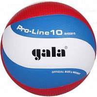 Volejbalový míč Gala Pro Line BV 5581 S
