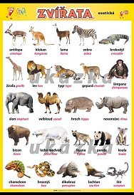 Zvířata exotická (100 x 70 cm)