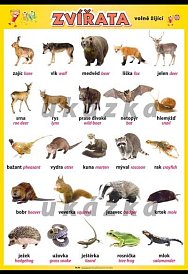 Zvířata volně žijící (100 x70 cm)