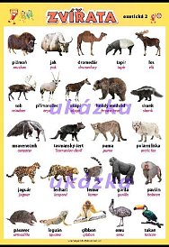 Zvířata exotická 2 (100 x 70 cm)