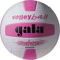 Volejbalový míč Gala Velvet BV 5023 S