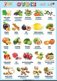 Ovoce v němčině 2 (100 x 70 cm)