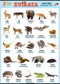 Zvířata v němčině - volně žijící (100 x 70 cm)