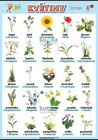 Květiny v němčině (100 x 70 cm)