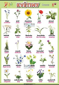 Květiny v angličtině (100 x 70 cm)