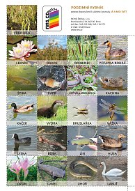 Pexeso Podzimní rybník JAMS 2