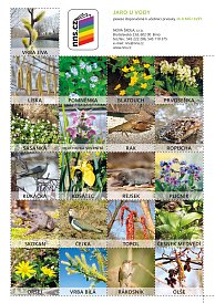 Pexeso Jaro u vody JAMS 2