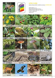 Pexeso Léto v lese JAMS 2