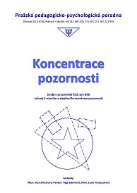 Koncentrace pozornosti