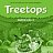 Treetops 2 Class Audio CDs (2)