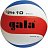 Volejbalový míč Gala BV 5451 S - Light 10